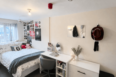 7 bed house, Treherbert Street, Cathays, Cardiff, CF244JN - Image 3