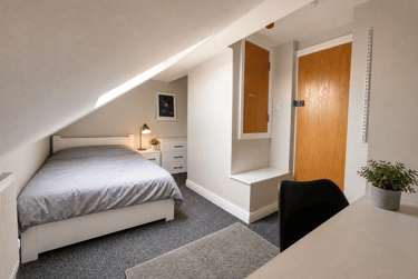7 bed house, Treherbert Street, Cathays, Cardiff, CF244JN - Image 5