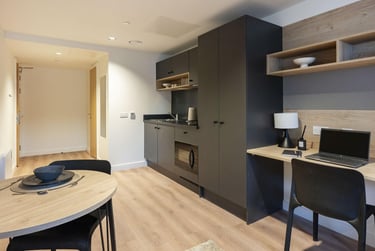 Large Premium Studio at Straits Place, East Newington Place, City Centre, Edinburgh, EH91QP - Image 5