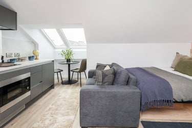 Skylight Plus Studio - Image 1