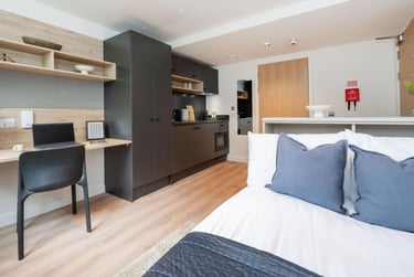 Large Classic Studio at Straits Place, East Newington Place, City Centre, Edinburgh, EH91QP - Image 1