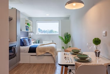 Premium Gold Studio - Image 12