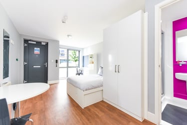 Studio Gold - Image 2