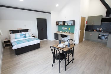 Studio - Platinum - Image 2