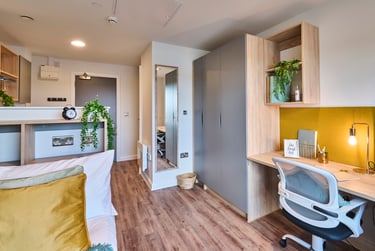 Studio Gold Plus - Image 1