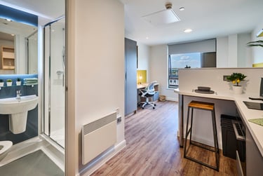 Studio Silver Plus - Image 2