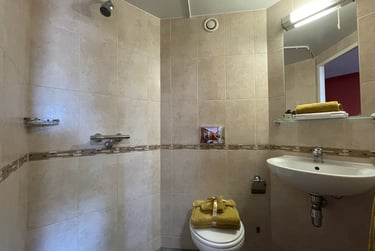 Ensuite silver - Image 3