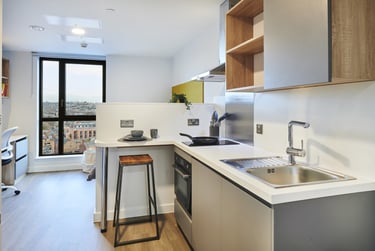 Studio Silver - Image 2