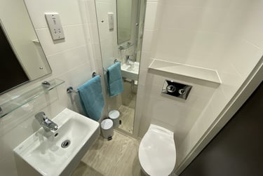 Studio Bronze - Image 3