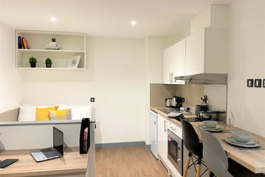 Studio Silver - Accessible - Image 2