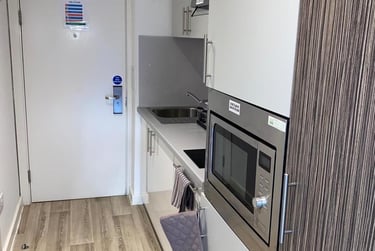 Studio Bronze - Image 2