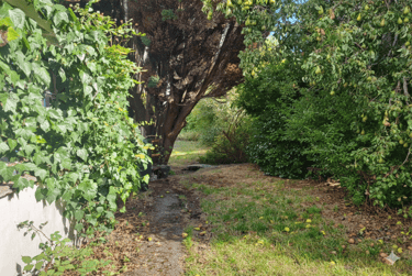 4 bed house, Winton, Ensbury Park, Bournemouth, BH92SH - Image 10