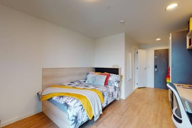 Large Single Plus - Image 2