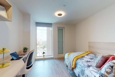 Large Single Plus - Image 3