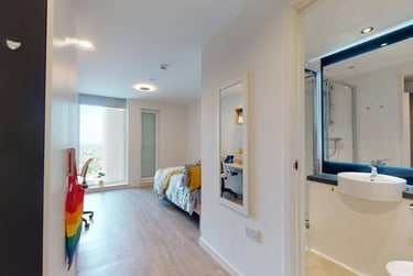 Large Single Plus - Image 4