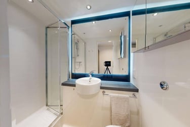 Large Single Plus - Image 5