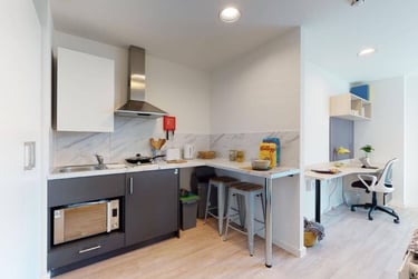 Single Studio Plus - Image 1