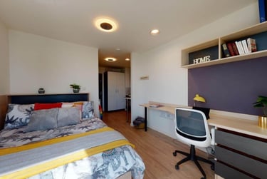 Single Studio Plus - Image 4