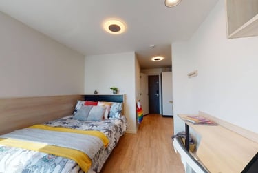 Single Studio Plus - Image 5