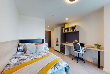 Large Single Plus - Image 1