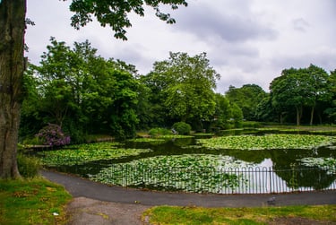 5 bed house, Leahurst Crescent, Harborne, Harborne, Birmingham, B170LG - Image 14