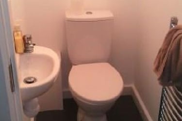 5 bed house, Holly Grove, Selly Oak, Selly Park, Birmingham, B296EQ - Image 5