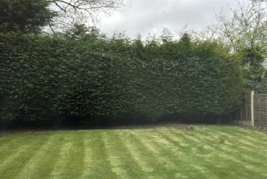 5 bed house, Aboyne Close, Edgbaston, Edgbaston, Birmingham, B57PQ - Image 10