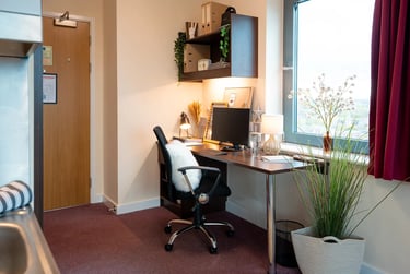 Deluxe Student Studio - Image 2