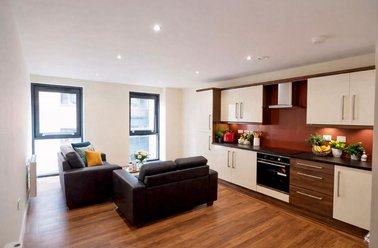 121 Fitzwilliam Street, Devonshire Green, Sheffield - Image 3