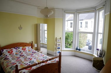 Carlton terrace, St judes, Plymouth - Image 2