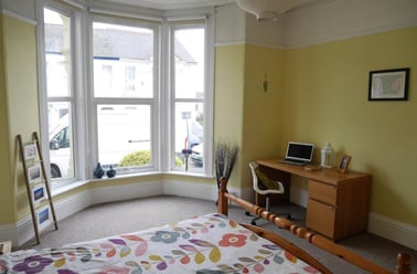 Carlton terrace, St judes, Plymouth - Image 3