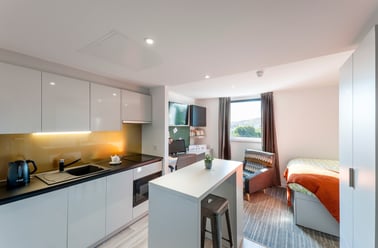 Studio - Gold, New Park, Bothwell Street, Marchmont, Edinburgh - Image 2