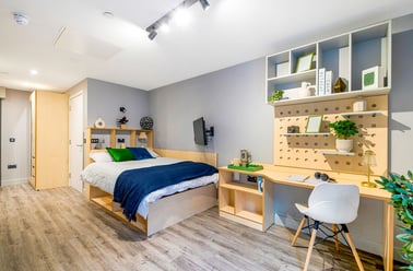 Aster House, 2A University Road, City Centre, Belfast - Image 2