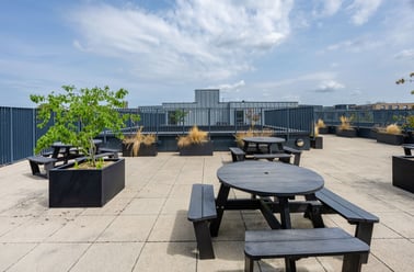 Currus Court, Rhodaus Town, City Centre, Canterbury - Image 3