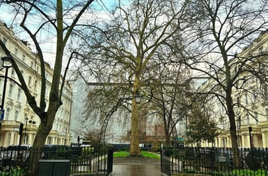 Paddington Citi View, 15-25 Talbot Square, Paddington, London - Image 3