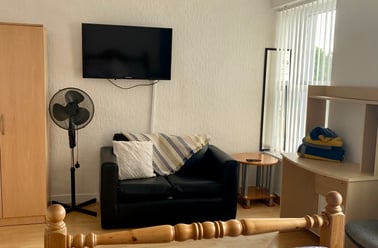 Picton Tce, City centre, Swansea - Image 3