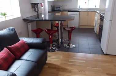 Bentinck Road Arboretum Arboretum Nottingham, Radford, Nottingham - Image 3