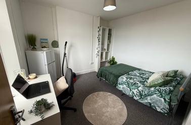 Finsbury Terrace, Brynmill, Swansea - Image 2