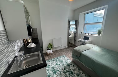 Bryn Road, Brynmill, Swansea - Image 2