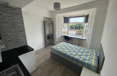 Malvern Terrace, Brynmill, Swansea - Image 2