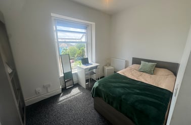 Malvern Terrace, Brynmill, Swansea - Image 2