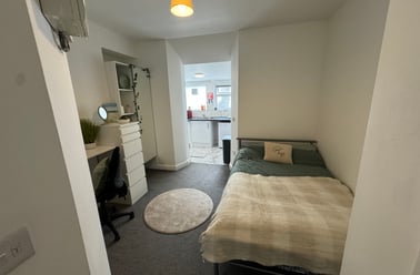 Bryn Road, Brynmill, Swansea - Image 2