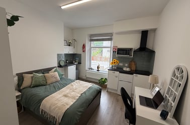 Bryn Road, Brynmill, Swansea - Image 2