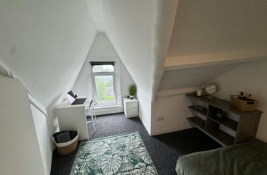 Malvern Terrace, Brynmill, Swansea - Image 3