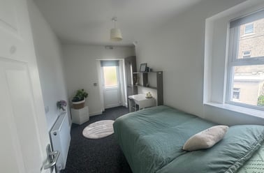 Malvern Terrace, Brynmill, Swansea - Image 3