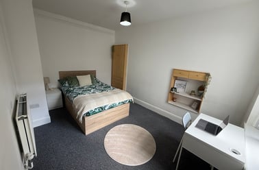 Malvern Terrace, Brynmill, Swansea - Image 3