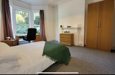 Alexandra Road, Mutley, Plymouth - Image 3