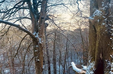 Ash Grove, Chorley, Preston - Image 3