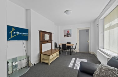 Woodland Terrace, Greenbank, Plymouth - Image 3