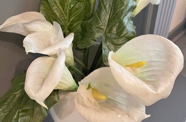 Sedley street, Anfield, Liverpool - Image 3